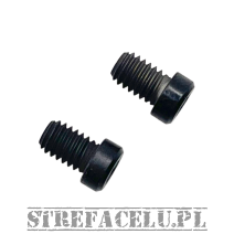 Rear Sight Screws