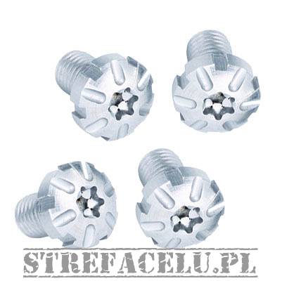 Grip Screw Stainless Steel Silver set (4 pcs) #10105