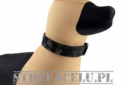 Dogs Collar, Model : K9 Odin Collar, Manufacturer : Raptor Tactical (USA), Color : Multicam Black