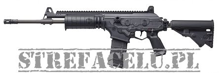 IWI Rifle, Model : Galil ACE, Capacity : 30 round, Barrel length : 16 inches, Caliber : 5.56x45mm/.223 Rem