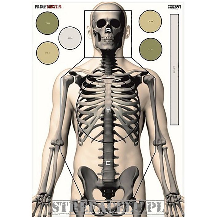 Shooting Target Skeleton, Pieces : 1, Manufacturer : polskietarcze.pl ...