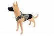 Dog Harness, Manufacturer : Raptor Tactical (USA), Model : K9 Drago Harness, Color : Ranger Green, (Size Selection)