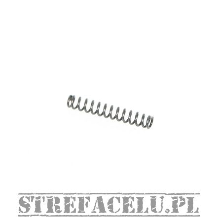 BUL 1911/2011 SAS II Plunger Spring #10712