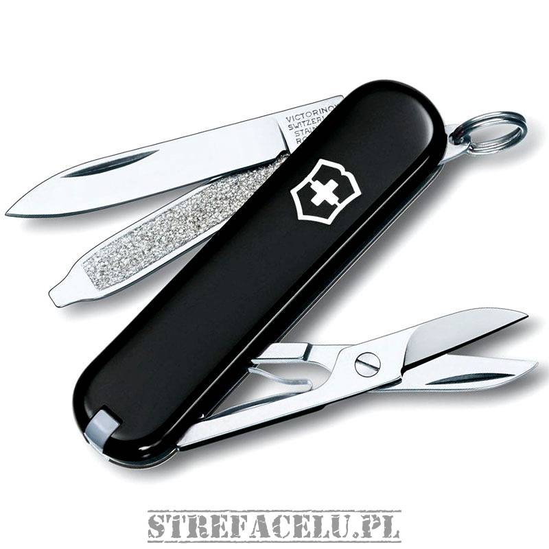 Victorinox waiter black hot sale