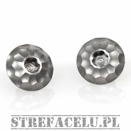 BUL SAS II Bullesteros Steel Grip Screws X2 set #70341