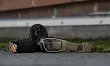 Gogle WileyX LYNX Grey/Clear 1501T / Tan Frame - 6
