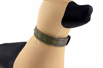 Dogs Collar, Model : K9 Odin Collar, Manufacturer : Raptor Tactical (USA), Color : Ranger Green