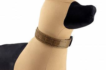 Dogs Collar, Model : K9 Odin Collar, Manufacturer : Raptor Tactical (USA), Color : Coyote Brown
