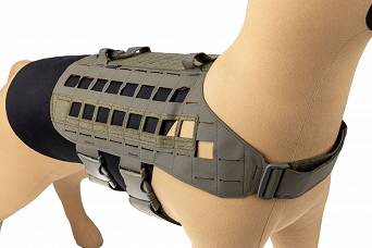 Dog Harness, Manufacturer : Raptor Tactical (USA), Model : K9 Zephyr MK2 Dog Harness, Color : Ranger Green