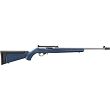 Ruger 10/22 Stainless Steel Carbine - Liberty Blue Synthetic - Limited Edition - cal .22LR (32039) - 2