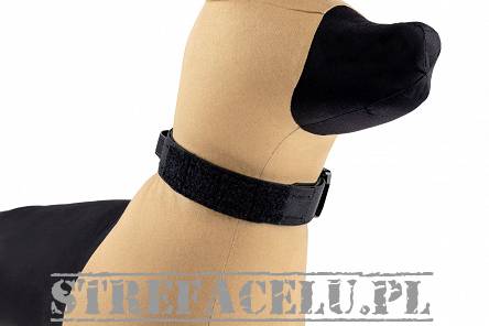 Dogs Collar, Model : K9 Odin Collar, Manufacturer : Raptor Tactical (USA), Color : Black