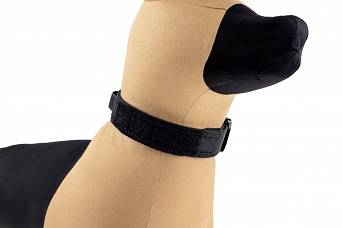 Dogs Collar, Model : K9 Odin Collar, Manufacturer : Raptor Tactical (USA), Color : Black